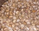 Foto del paso 1 de la receta: Caracoles