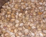 Foto del paso 1 de la receta: Caracoles