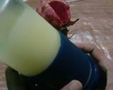 Cara Membuat Jus Sehat Ganas buah naga merah nanas 2