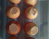 Foto langkah ke 3 dari resep Puding Telur Dinosaurus (Puding Lumut Daun Kelor).