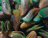 Foto langkah ke 1 dari resep Kerang Ijo Rebus Bumbu Kuning.