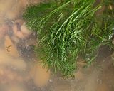 Фото кроку 2 до Овощной крем-суп с морепродуктами.