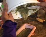 Foto del paso 8 de la receta: Budín de yerba mate