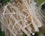 Foto langkah ke 3 dari resep Sup Tofu Enoki Dumpling Keju.
