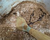 Foto del paso 1 de la receta: Torta integral de chocolate y zapallito zucchini 🍫