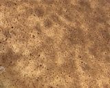 صورة لخطوة 5 من وصفة تارت البسبوسه