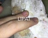 Foto langkah ke 2 dari resep Martabak Kulit Lumpia.
