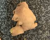 Thai Red Curry Paste(Can be made in a processor too!) recipe step 5 photo