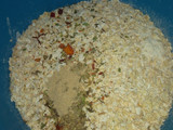 Galletas de avena saladas