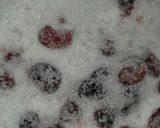 صورة لخطوة 1 من وصفة مربى الكرز