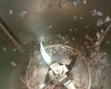 Foto del paso 1 de la receta: Salsa Roquefort Thermomix
