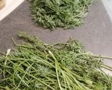 Une image de l'étape 1 de Pesto de fanes de carottes.