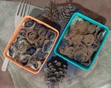 Foto langkah ke 1 dari resep Roti Gulung Coklat.