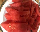 Alkaline -  SEEDED (FEMALE)  WATERMELON