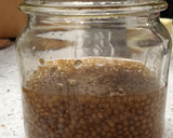 A picture of step 4 of My Pickled Mustard Seeds.