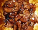 A picture of step 1 of Chicken in a Hoisin BBQ Sauce. 😀.