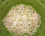 Foto langkah ke 3 dari resep 530. Tumis Toge Wortel.