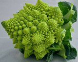Foto del paso 1 de la receta: Hamburguesas de Romanescu