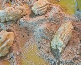 A picture of step 8 of Baked Chicken Croquettes.