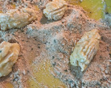 Foto del paso 8 de la receta: Croquetas de pollo