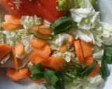 Foto langkah ke 2 dari resep Pizza mie dan sayur.