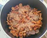 Foto del paso 4 de la receta: Fricandó de ternera con variado de setas. Plato de la cocina Catalana
