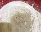 Foto del paso 1 de la receta: Pizza rellena