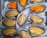 Foto langkah ke 3 dari resep Kerang hijau panggang keju.