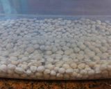 Foto del paso 1 de la receta: Hamburguesas de garbanzos