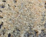 Hình bước làm 1 của món Cháo tôm khoai lang quinoa phô mai rắc