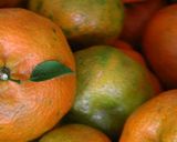 Foto del paso 1 de la receta: Jugo nutritivo de frutos anaranjados 🍊🥕🥤!!!