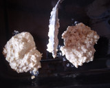 Foto del paso 5 de la receta: Galletitas de avena