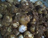 Foto langkah ke 4 dari resep Rendang Telur Bebek.