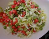A picture of step 1 of Manchow Soup.