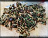 Foto del passaggio 2 della ricetta Ravioli Ripieni di Zucca e Funghi