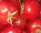 عکس مرحله 1 از دستور کنسرو گوجه فرنگی 🍅