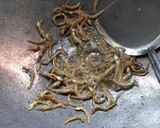 Foto langkah ke 4 dari resep Sambel penyet teri terong cempokak.