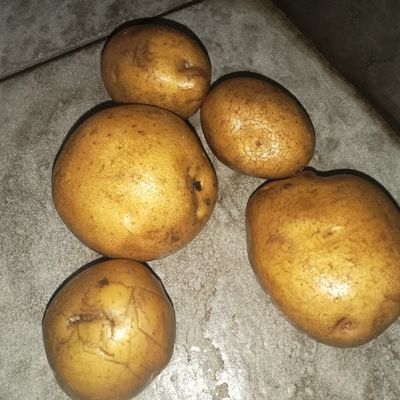 Langkah 1