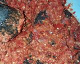 Foto langkah ke 5 dari resep Dendeng Balado.