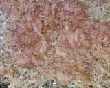 A picture of step 1 of White Chicken Karahi With Rogani Naan.