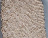 Foto del paso 1 de la receta: Torta de Santiago