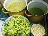Elopozole
