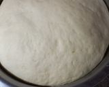 Foto del paso 3 de la receta: Pan dulce navideño