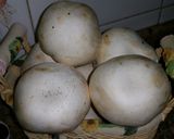 Foto del paso 2 de la receta Paté de champiñones