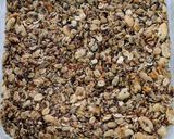 Foto del paso 4 de la receta: Barritas de cereal 🦭🪱