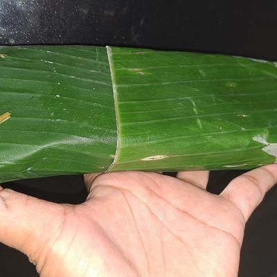 Langkah 1