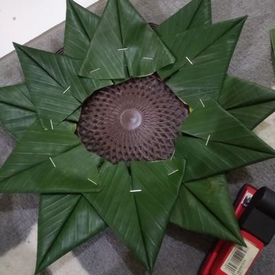 Langkah 8