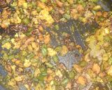 A picture of step 6 of Tawa pulao.