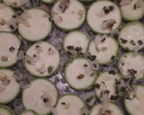 Foto del paso 3 de la receta: Milhojas de zucchini
