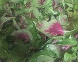 Alkaline - Amaranth Greens (Callao) recipe step 1 photo